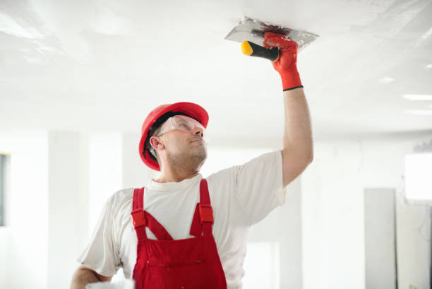 Best Drywall Removal and Disposal  in Julesburg, CO