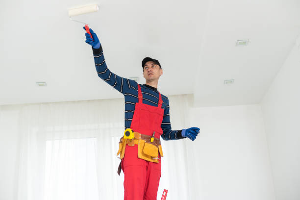 Best Commercial Drywall Repair  in Julesburg, CO